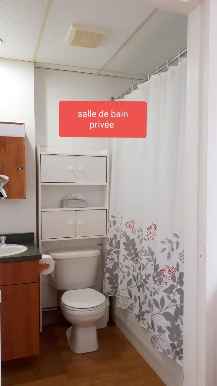 MHotel Domaine l'Envolée- Maison Fleurie Victoriaville Extérieur photo